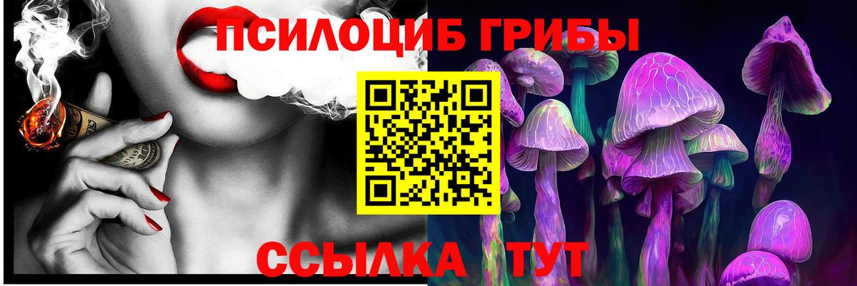 Псилоцибиновые грибы мицелий Урай